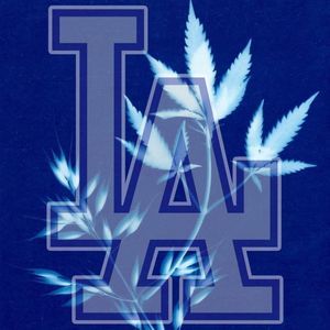 Meet your Posher, Lynsey